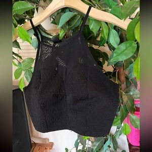 Elegant Black Crop Top